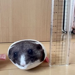 ぬいぐるみ　手乗りハムスターの画像