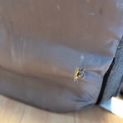 座椅子&カバー2setの画像