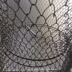 フィッシング スカリ すかりの画像