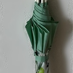 w.p.c ［ビニール傘］ジューシーフルーツプラスティックアンブレラの画像