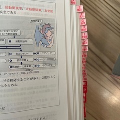 看護師・看護学生のためのレビューブックの画像