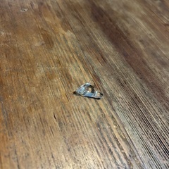 ガラスティーポットの画像