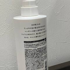 【新品/未使用】【直接のお取引限定】早い者勝ち LIPPS リップス ヘアー スタイリスト シャンプー 本体の画像