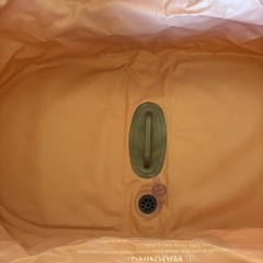 ペット用　バスの画像