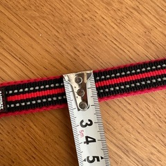 ☆小型犬〜中型犬リード（2M）☆の画像