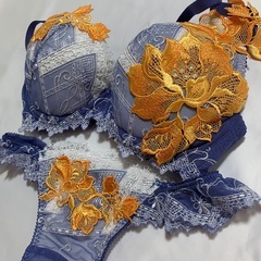 サルート　salute ブラセット F70/Mサイズ　　の画像