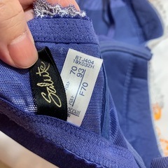 サルート　salute ブラセット F70/Mサイズ　　の画像