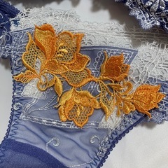 サルート　salute ブラセット F70/Mサイズ　　の画像