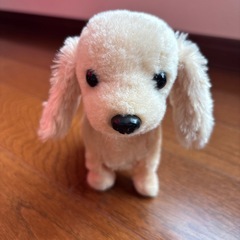 決まりましたの画像