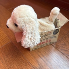 決まりましたの画像