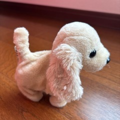 決まりましたの画像