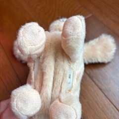 決まりましたの画像