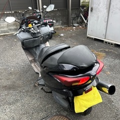 フォルツァの画像