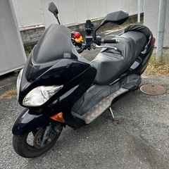 フォルツァの画像