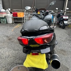 フォルツァの画像