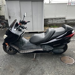 フォルツァの画像