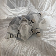 野球練習用
の画像