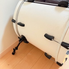 PEARL VISION BIRCH ドムの画像