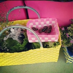 プラカゴバッグ  ブラックの画像