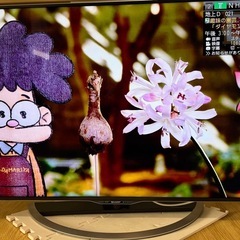 4K液晶　SHARP テレビの画像