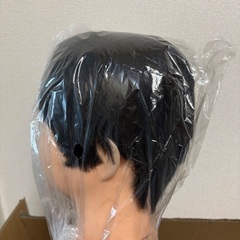 カットウィッグ14個＋パーマ用ペーパーの画像