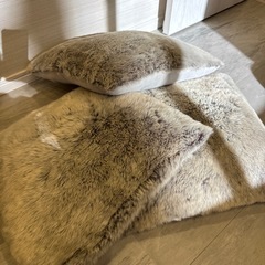 クッションの画像