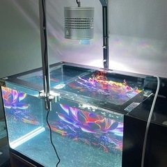 水槽の画像