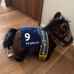 ドリームジャーニーの画像