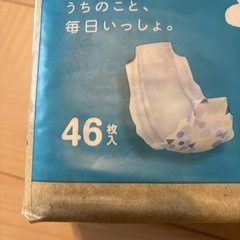 ペット用おむつ　マナーベルトの画像