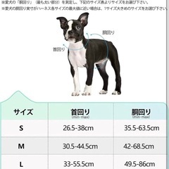 ハーネス　Sの画像