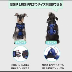 ハーネス　Sの画像