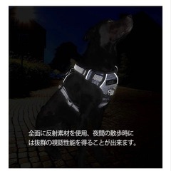 ハーネス　Sの画像