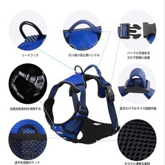ハーネス　Sの画像