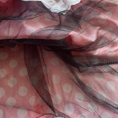 大人用　ミニーマウス　衣装の画像