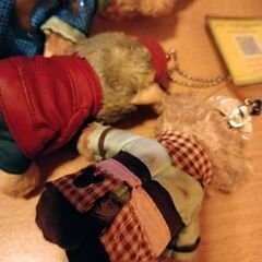 ※訳あり　ダッフィー ぬいぐるみバッチ　おまけ付きの画像