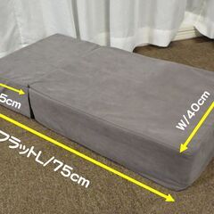 美品二段ドッグステップ、カバー洗濯済み・消臭＆除菌処理しています。子犬やシニア犬の足腰に優しい！ソファーやベッド昇降サポートステップです。の画像