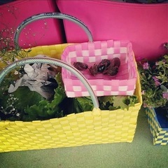 プラカゴバッグ カメレオンの画像