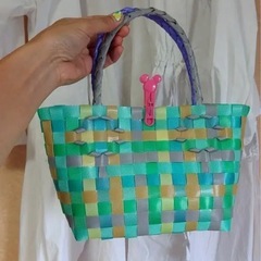 プラカゴバッグ カメレオンの画像