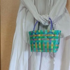 プラカゴバッグ カメレオンの画像