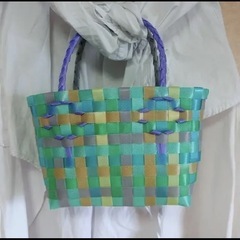 プラカゴバッグ カメレオンの画像