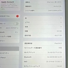 分割支払い可(一括2.1万円)【美品】iPad mini 5 /Wi-Fi+Cellular 64GBの画像