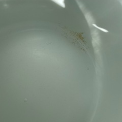 猫トイレ、２つの画像