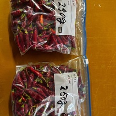 唐辛子　とうがらし　香川本鷹　100g100円　生の画像