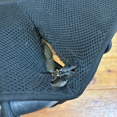 トランポリンの画像