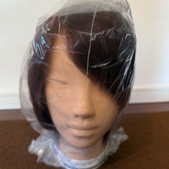 エステ　練習用マネキン2体　持ち運びバックの画像