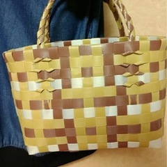 プラカゴバッグ 茶トラの画像