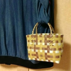 プラカゴバッグ 茶トラの画像