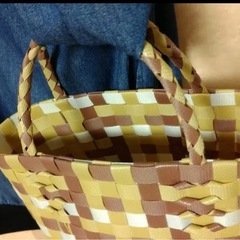 プラカゴバッグ 茶トラの画像