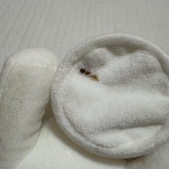 【お譲りします】白くま　ペン立て　リモコンホルダーの画像