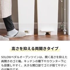 ゴミ箱 20L  両開き 2個セットの画像